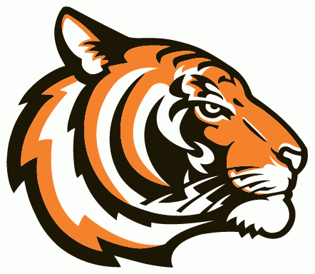 Princeton Tigers 2003-Pres Alternate Logo v2 diy fabric transfer